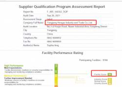 祝陽(yáng)江恒裕工貿(mào)有限公司通過WCA/SQP驗(yàn)廠，并取得WCA最高等級(jí)綠燈86分